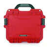 Nanuk 905 Case